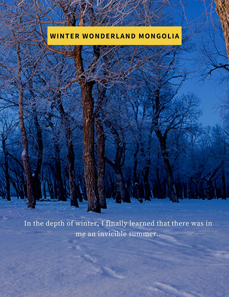 mongolia-winter-tours