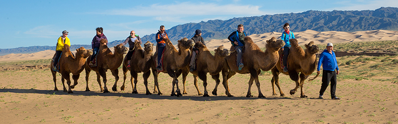 Mongolia gobi desert tour