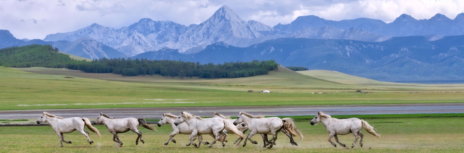 darkhad valley photo tour mongolia