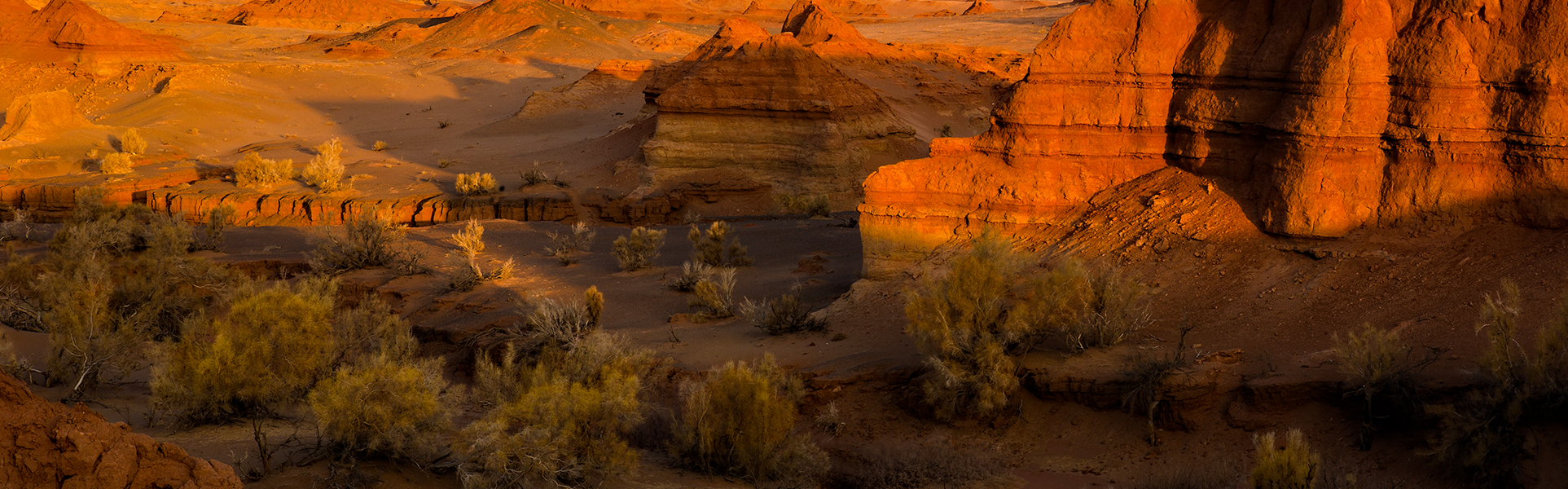 Discover_mongolia