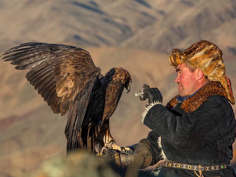 Golden Eagle Hunters Mongolia