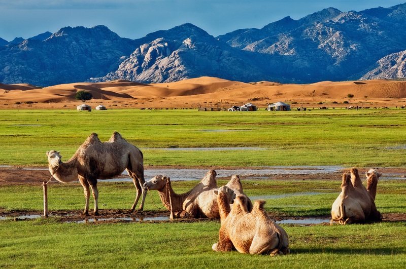 travel to elsen tasarkhai sand dune