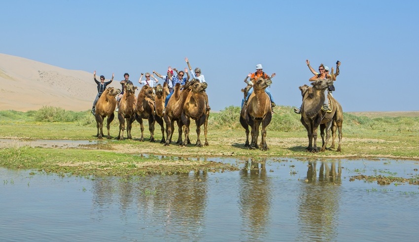 Camle riding in mongolian gobi with ayan travel