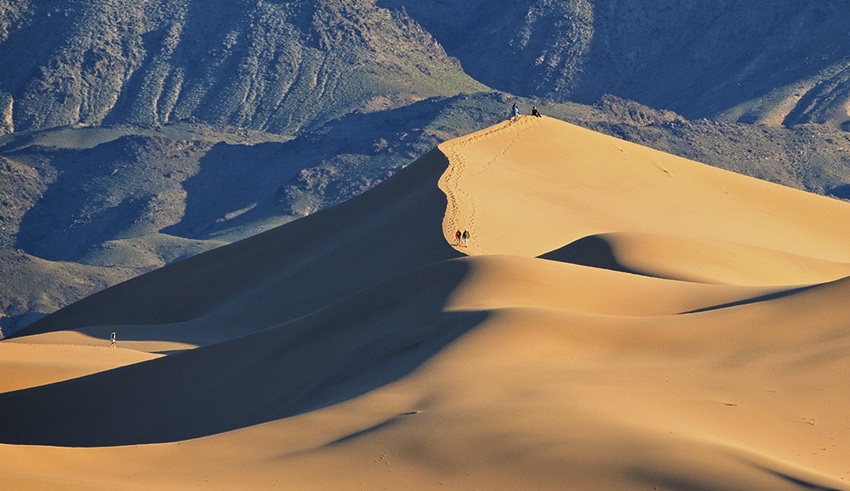 sand dune climbing in mongolian gobi with ayan travel