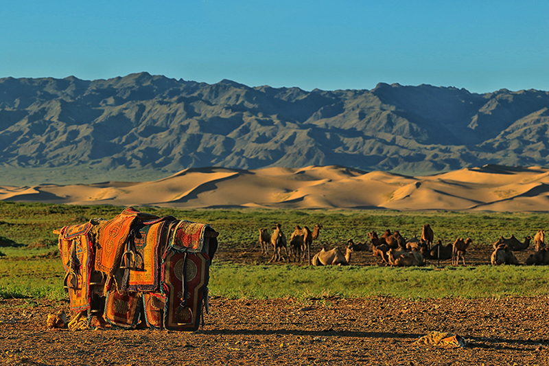 Gobi desert Mongolia Landscape photography