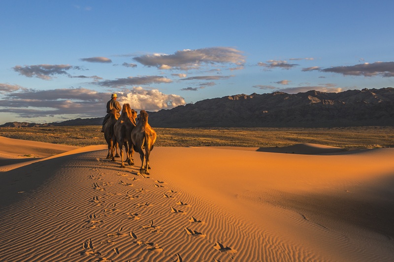 mongolia-gobi-desert-photo-tour-sand-dunes