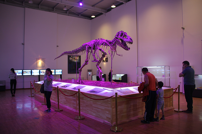 mongolia gobi dinosaurs 