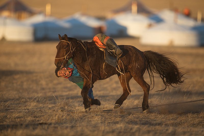 winter horse festival in mongolia