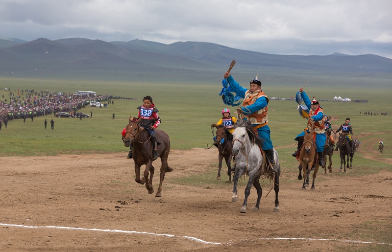 see the horse race in mongolia with ayan travel