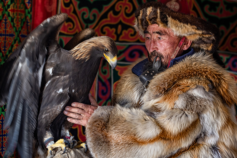 Golden Eagle Hunters Mongolia