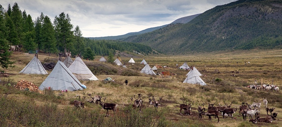 reindeer herders tsaatan photo tour mongolia