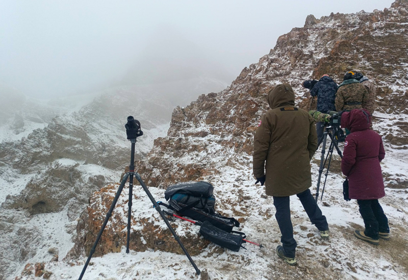 Mongolia_winter_snow_leopard_tours