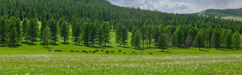 Foot of Suvarga Khairkhan Mountain