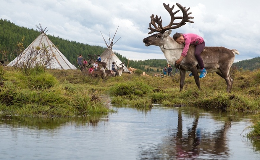 reindeer herder photo tour mongolia ayan travel