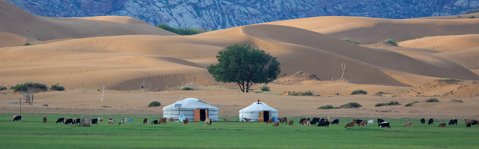 Visiting_a_nomadic_family_in_Mongolia