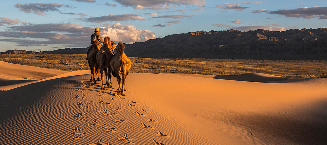 bests-of-mongolia-gobi