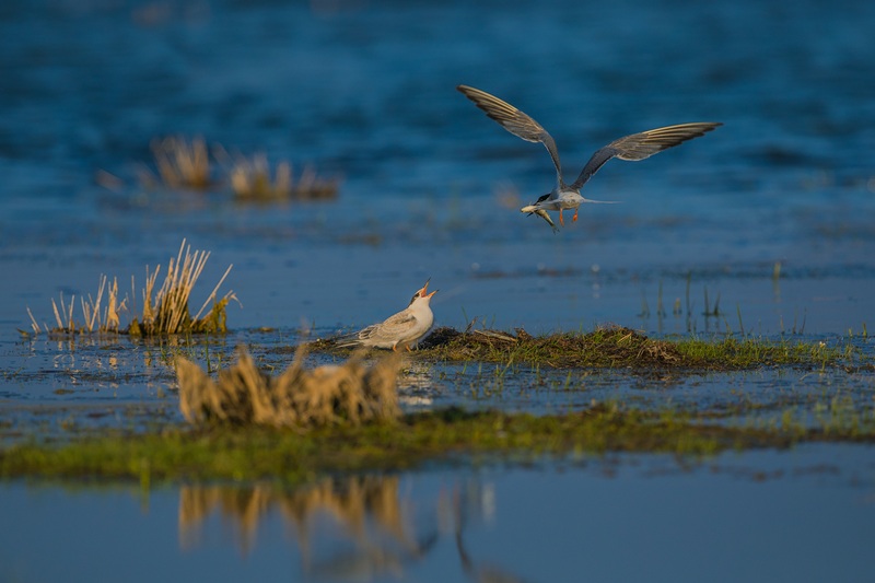 Ugii lake in Mongolia