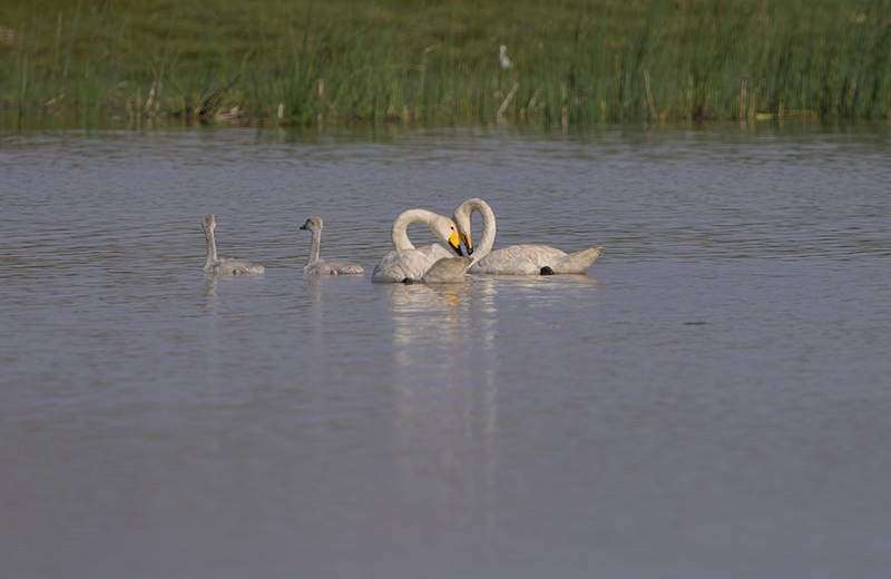 mongolia_september_trips