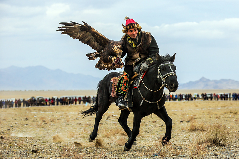 mongolia_hunting_golden_eagle
