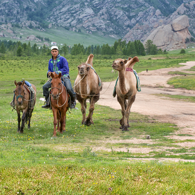 gorkhi_terelj_national_park