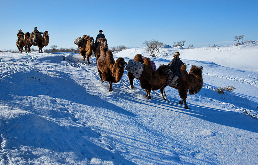 10 Photos That Show True Mongolian Winter Life