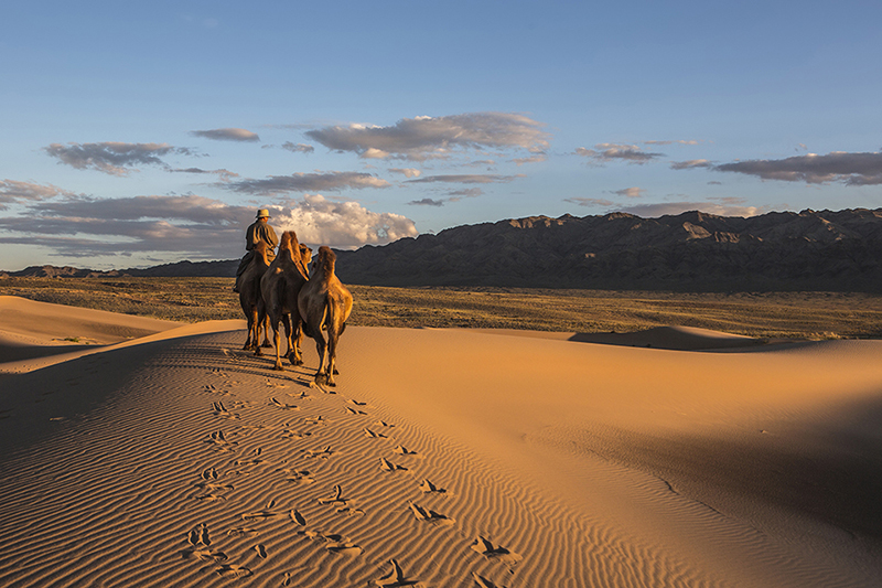 mongolia_gobi_desert