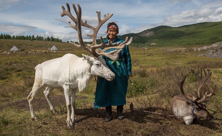 tsaatan reindeer herder photo tour ayan travel mongolia