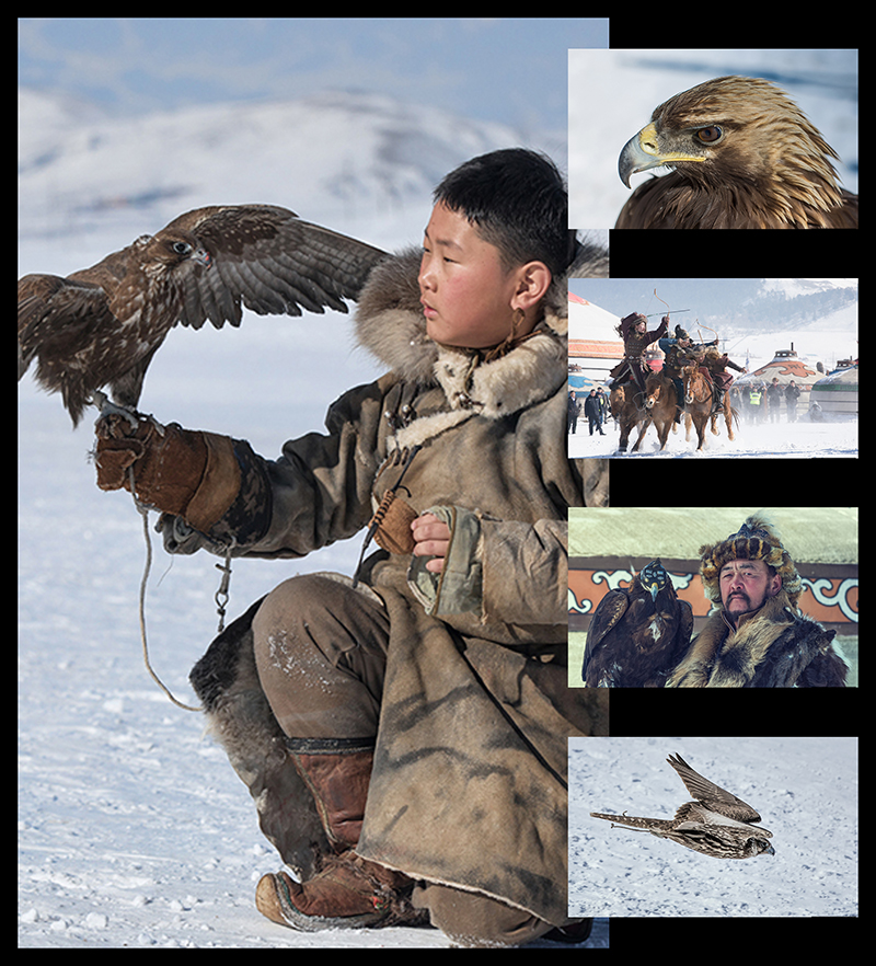 spring_eagle_festival