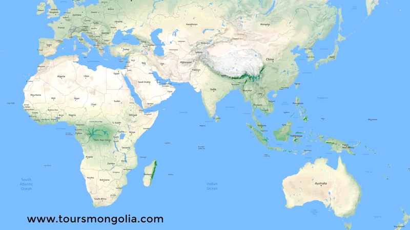 travel to mongolia